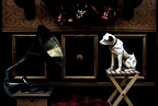 Grammophon und Hund